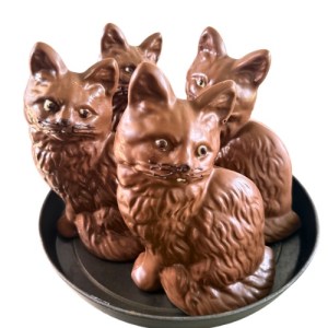 cats 